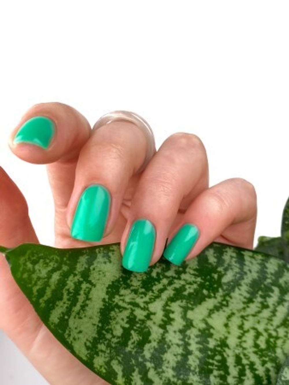 База Tropical No Hema Adhesive Base, TAB03, 8 мл, MOOI