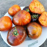 Помидоры Алисины Грёзы - Alices Dream