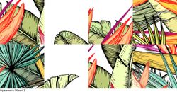 Яркие графические тропики 400x250 см