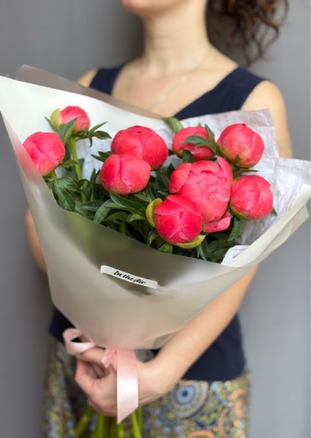 Hot Offer #224р