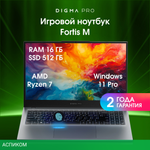 Ноутбук Digma Pro Fortis M