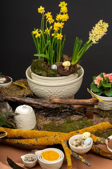 Набор мерных чаш birds of paradise, кремовые, 4 шт.