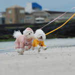 001 Поводок к шлейкам 003/004 SSOOOK