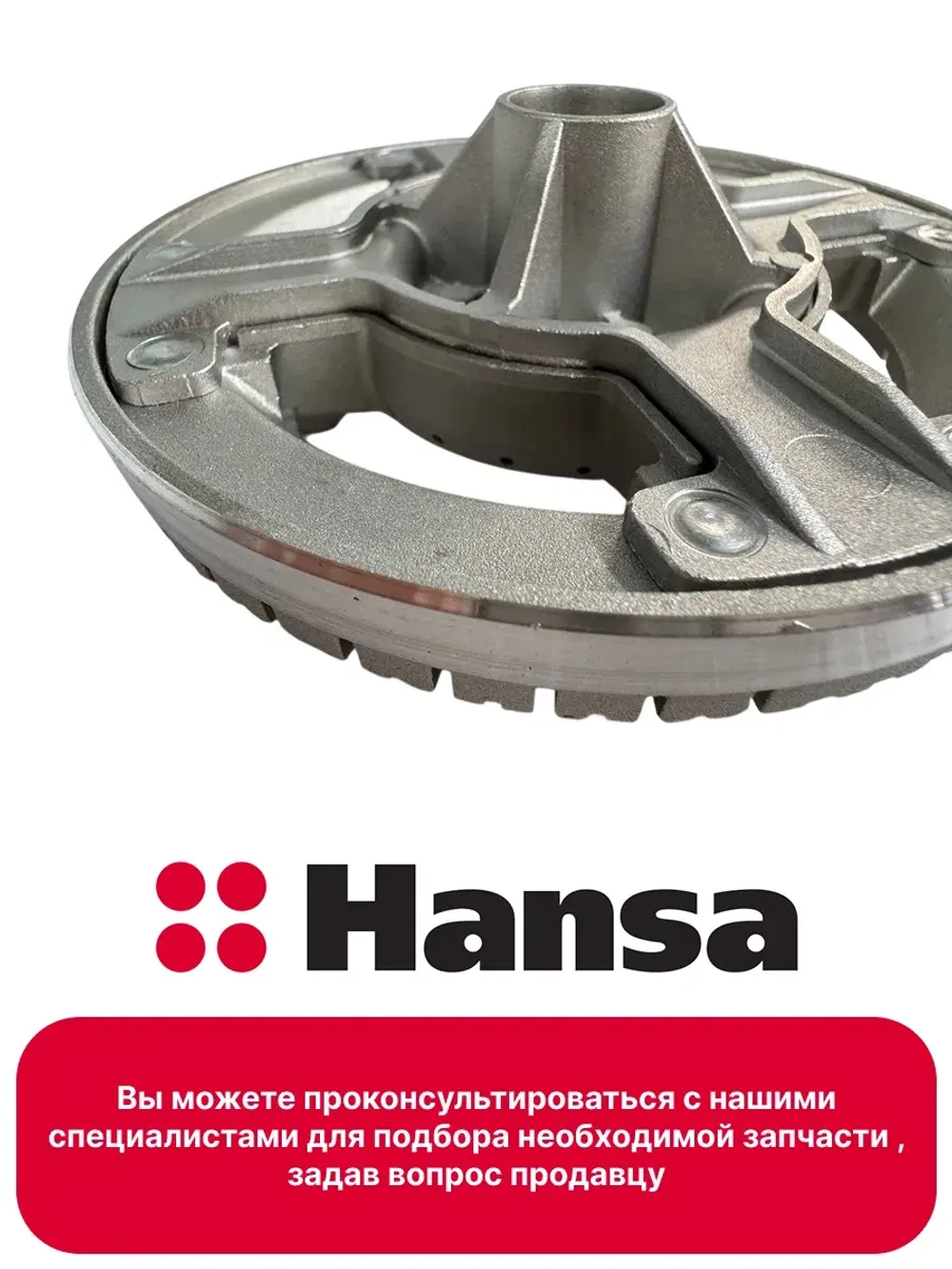 Рассекатель 1013002 Hansa