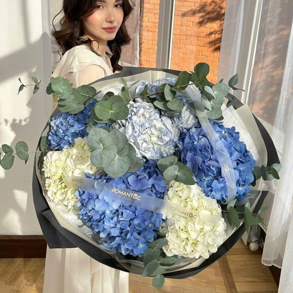 Hydrangeas 7