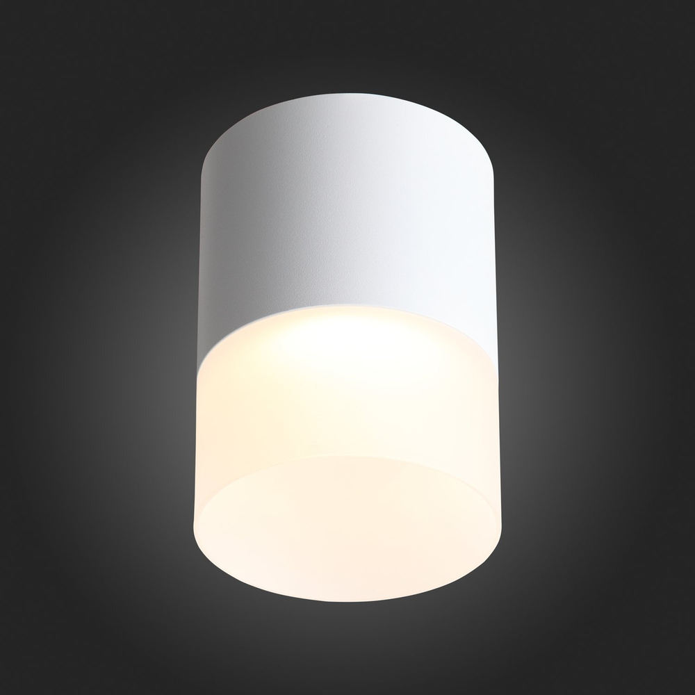 ST100.502.15 Светильник потолочный Белый LED 1*15W 3000K 1 170Lm Ra&gt;80 120° D118xH150 170-240V Накладные светильники