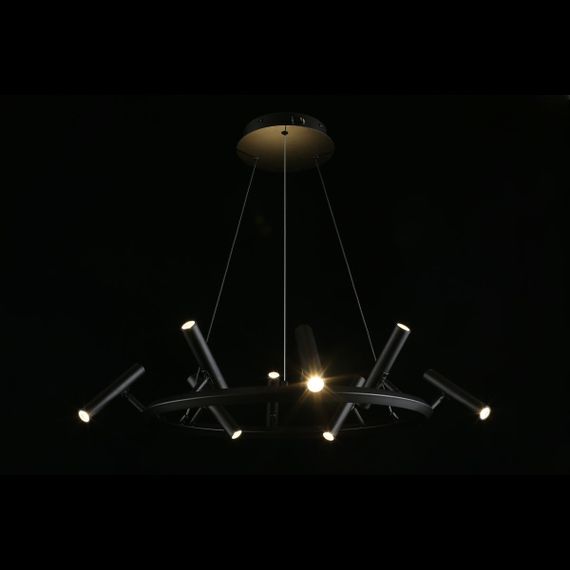 Подвесная светодиодная люстра Aployt Honor APL.067.03.40