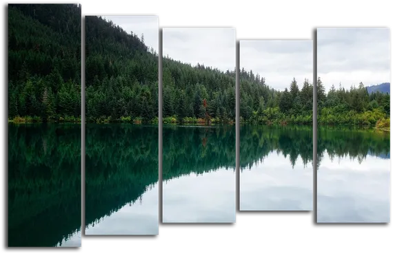 Модульная картина "Зеркало леса"