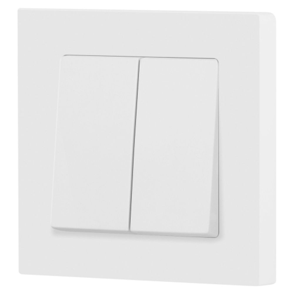 Переключатель Intro Accent 6-107-01М двойной, 10А-250В, IP20, СУ, AL/CU, белый матовый