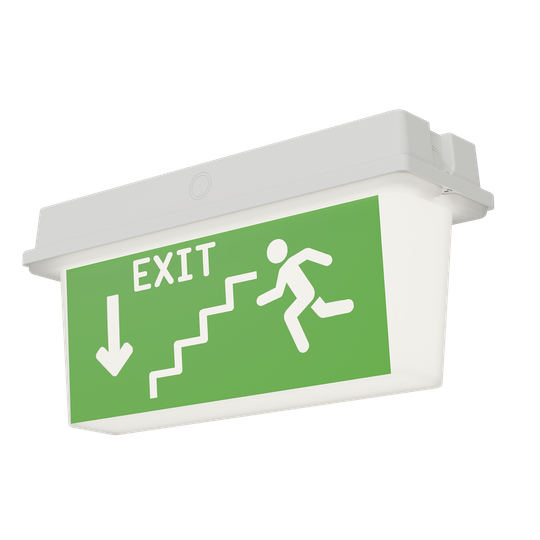 Светильник аварийный ДПО78-3-113 Neptun PT LED АСТЗ (Ардатов)