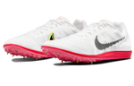 Кроссовки Nike Zoom Rival D 10