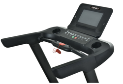 Беговая дорожка Genau Crown G530