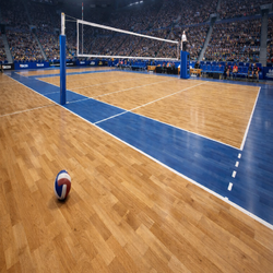 Спортивный пол Карелия