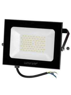 Прожектор светодиодный Lumin arte LFL-100W/05