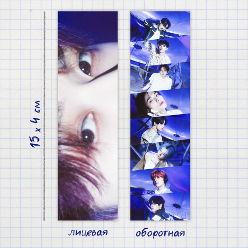 Закладка / STRAY KIDS / Минхо #4