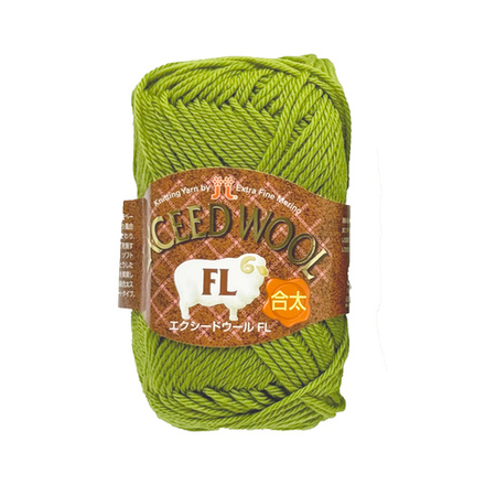 Exceed Wool FL, цвет 746 соленый огурец