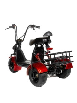 Электроскутер GT Citycoco X5 Trike