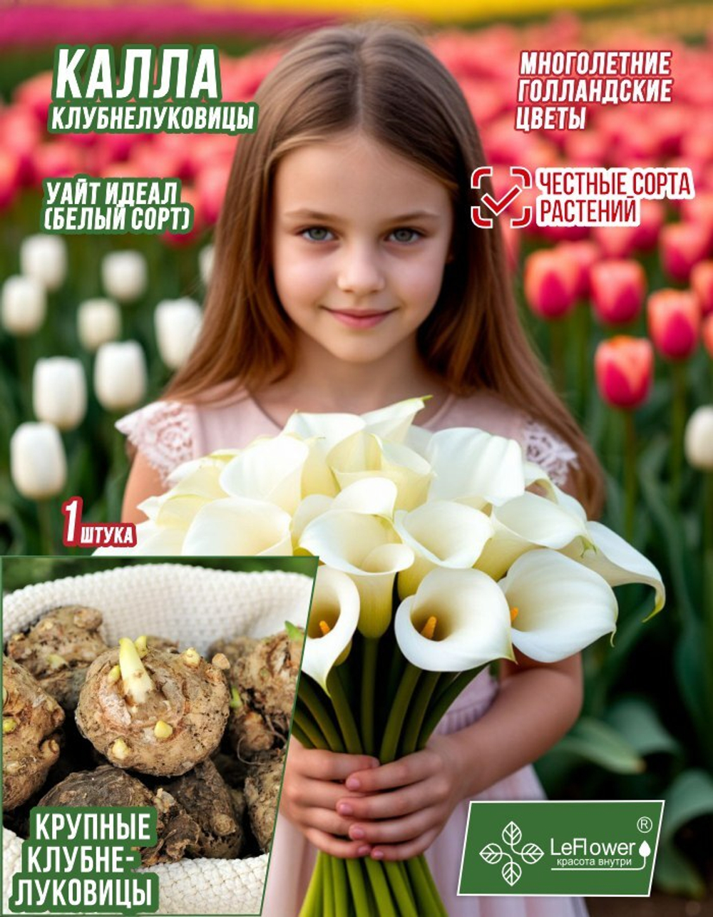 Калла, Клубнелуковица, Уайт Идеал, 1 шт.