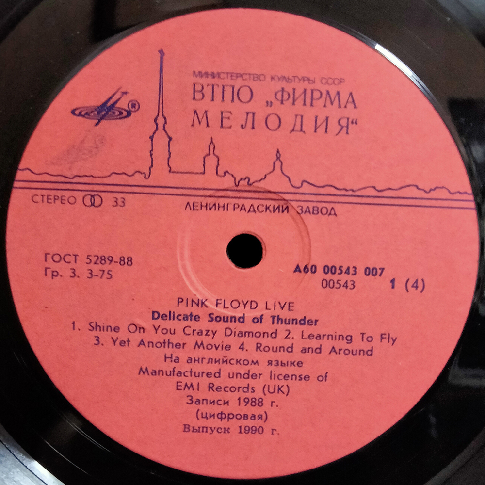 Pink Floyd / Delicate Sound Of Thunder (2LP)