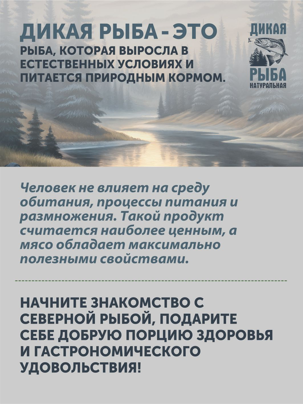 Набор Уха из щуки + Уха из судака
