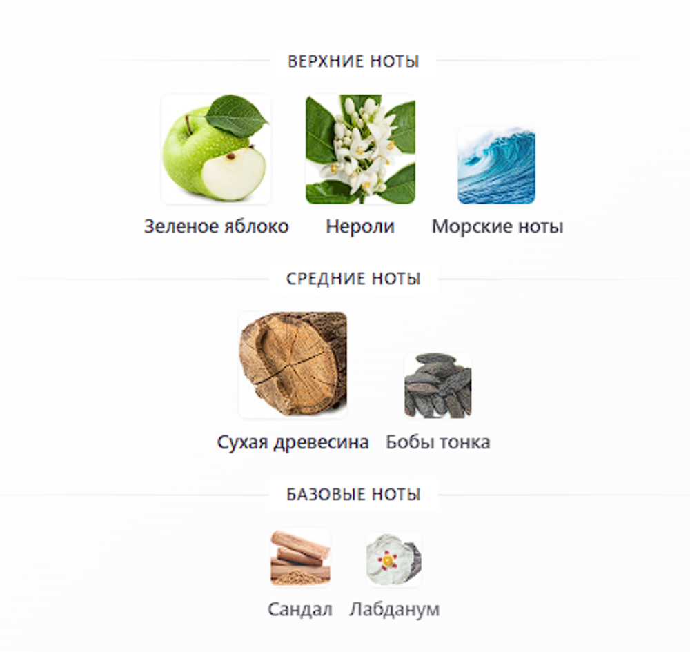 Star Chaser Thomas Kosmala 100 ml EDP (duty free парфюмерия)