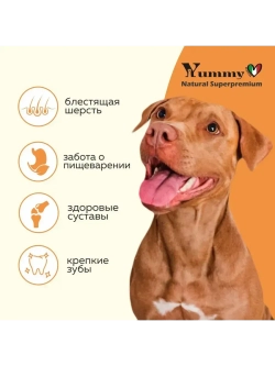 Корм для щенков средних и крупных пород, индейка 2.5 кг