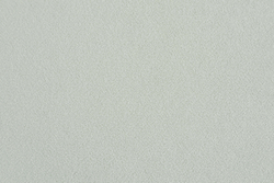 Микровелюр Kiton antarctica (Китон антарктика) 701