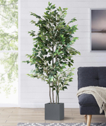 Фикус Бенджамина зеленый 180 см.