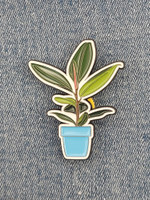 Значок Фикус эластика