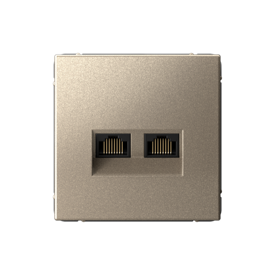 Розетка компьютерная 2-м ArtGallery RJ45 + RJ45 кат.5E механизм шампань SE GAL000585