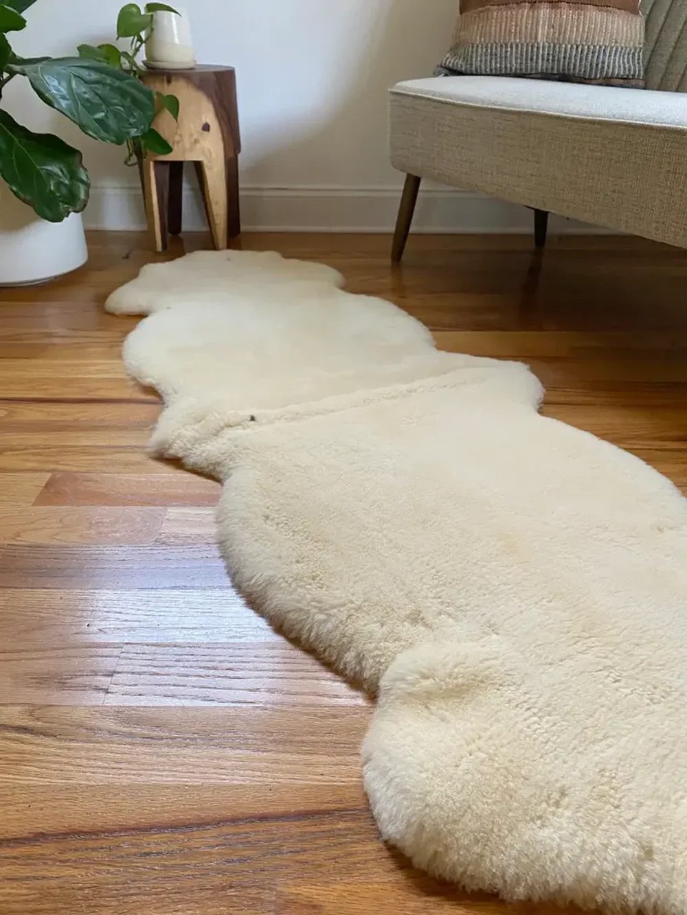 шкура декоративная