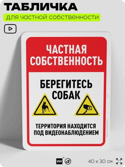 Табличка для частной территории "Частная собственность, берегите собак", на дом, для участка, организаций, предупреждающая, 40х30 см, Silver Plane x Айдентика Технолоджи