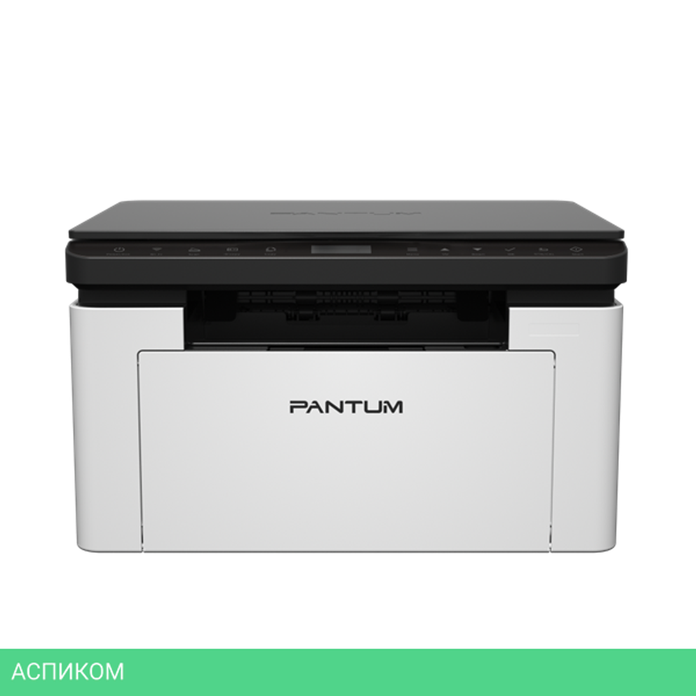 Принтер Pantum BP1800W черный/белый