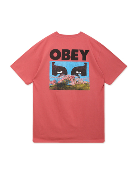 Мужская Футболка Obey In A Different Place