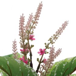 GAEM Цветочная композиция, L30 W11 H70 см