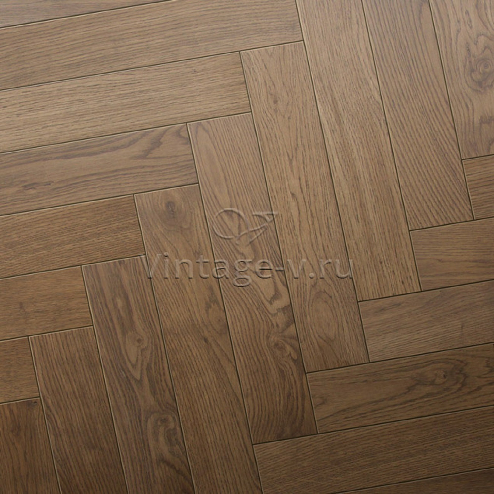 Английская елка 717 Дуб Инсайт