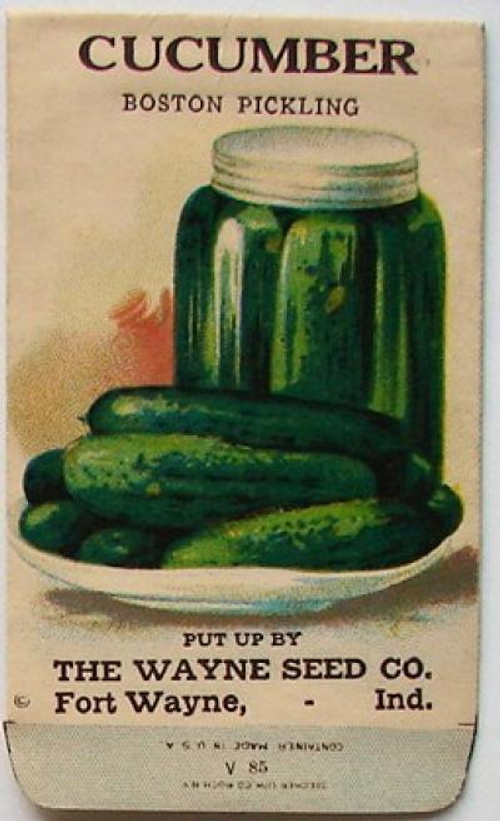 Огурцы - Бостонский Пикуль