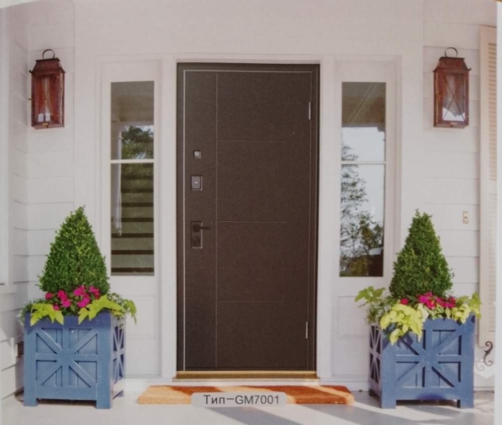Дверь входная GM-7001