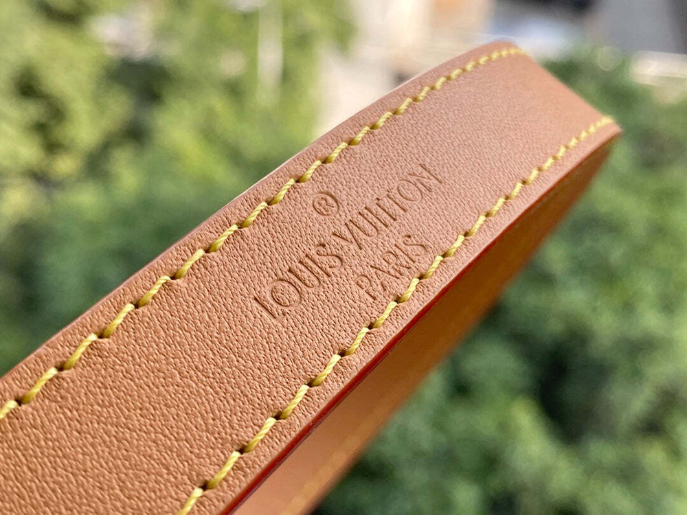 Louis Vuitton Dauphine MM
