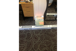 Бензиновый триммер PATRIOT PT 553 250108444