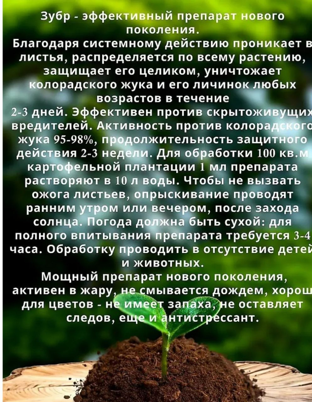 Препарат от насекомых-вредителей Зубр, 1 мл