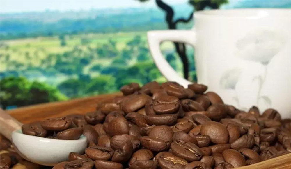 Кофе в зернах Santa Fe Бразилия Серрадо Арабика 1кг