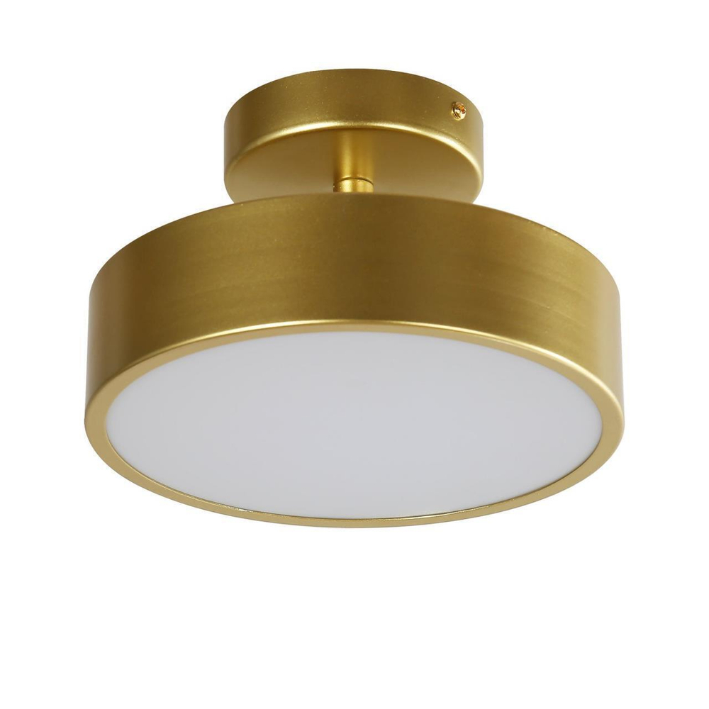 Потолочный светодиодный светильник F-Promo Atma 3059-2P