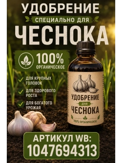 Чеснок посадочный яровой Гулливер