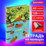 Тетрадь на кольцах А5 160х212 мм 120 листов картон выборочный лак клетка BRAUBERG "Капибары" (3 штуки в упаковке)