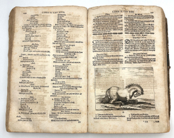 Винтер Г. С. Гиппиатр. Эксперт по лошадям, или полное собрание по медицине. 1678