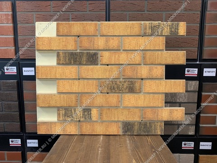 Клинкерная фасадная термопанель Регент ППУ Feldhaus Klinker R286NF9