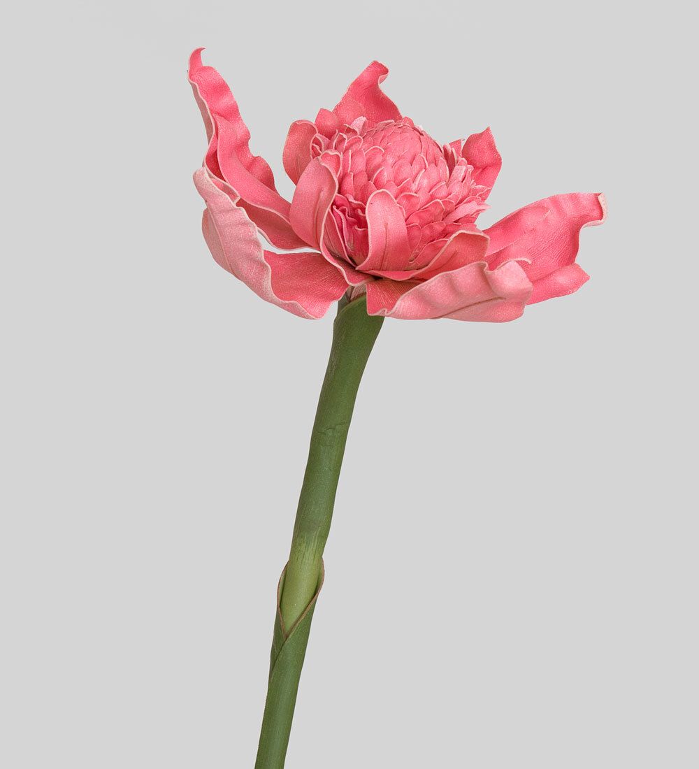 TR 612 Имбирь-факел