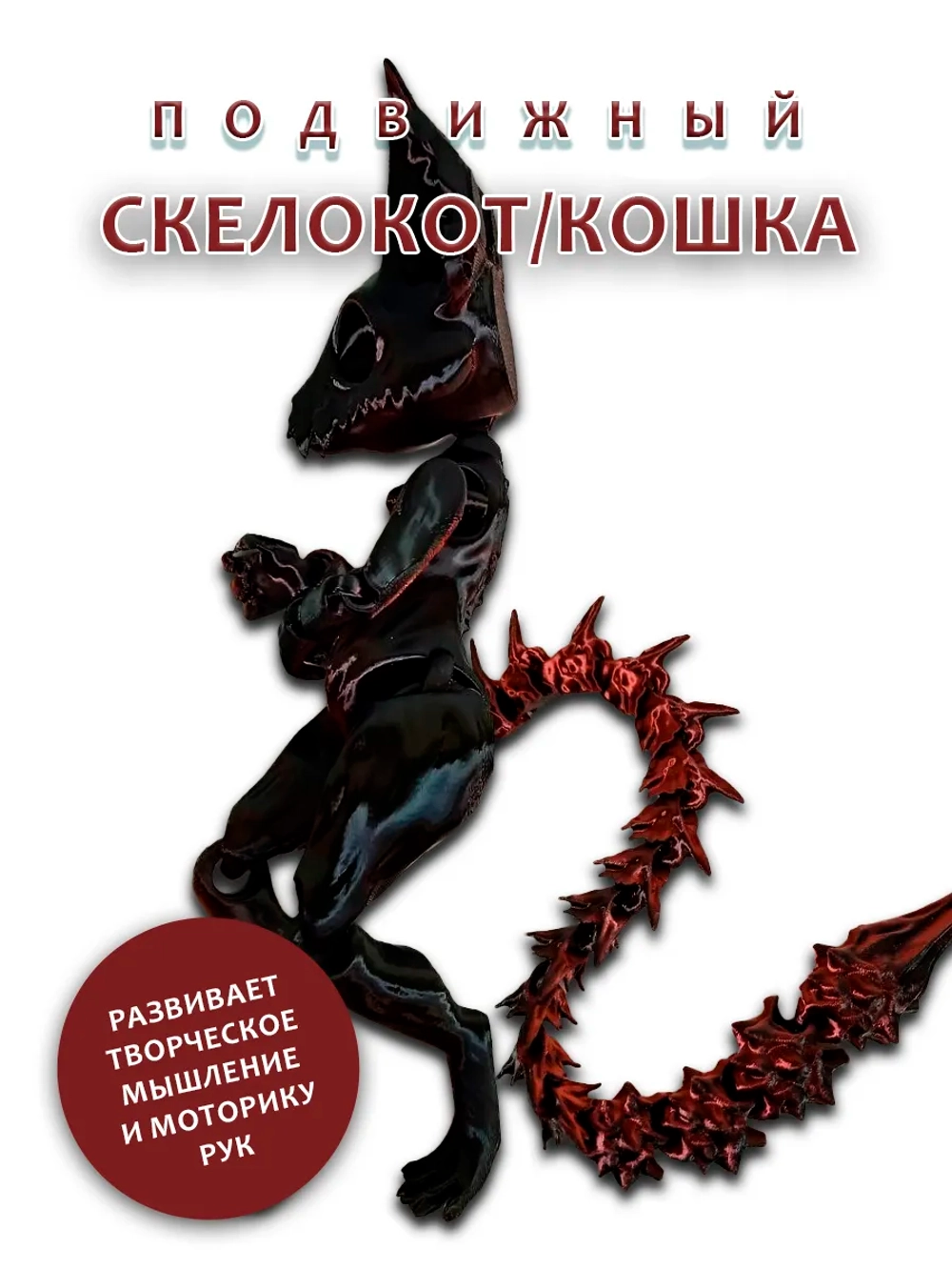 Скелет Кошки