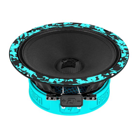 DL Audio Raven 165 V.3